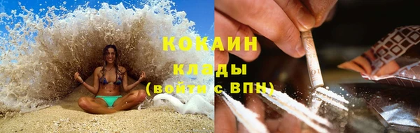 кокс Няндома