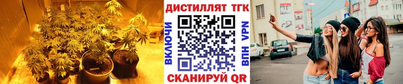 гидра ссылка  Облучье  мориарти телеграм  где купить наркоту  ТГК вейп с тгк 